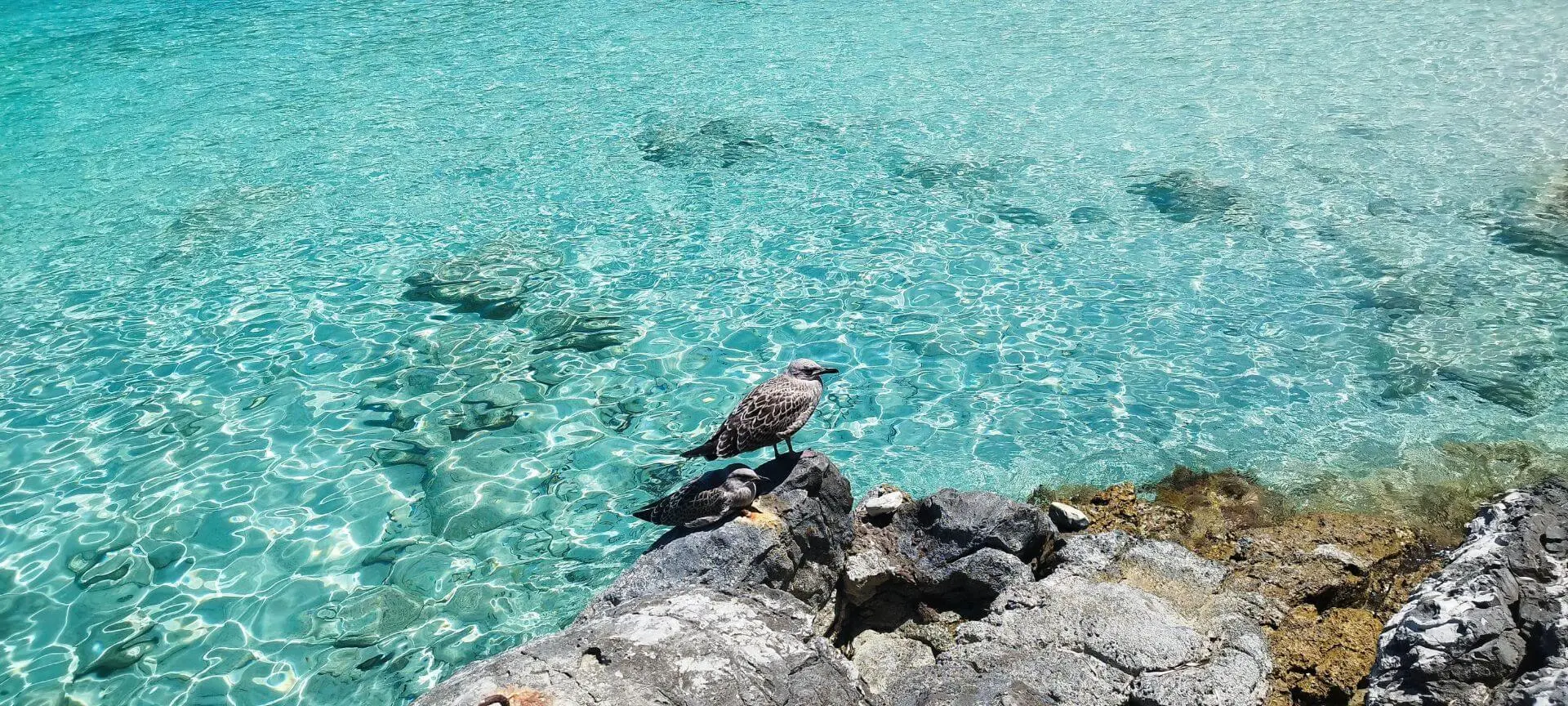 Paxos & Blue Lagoon Boat Trip